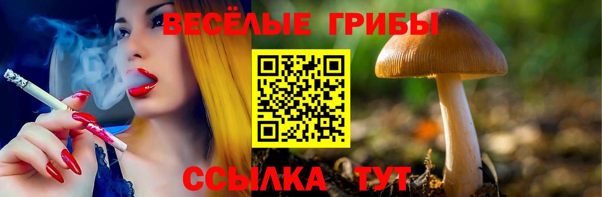 Каменск-Шахтинский  Галлюциногенные грибы Psilocybine cubensis  Вход с VPN  Галлюциногенные грибы мухоморы 